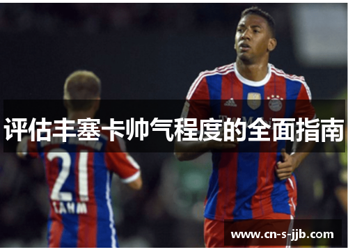 评估丰塞卡帅气程度的全面指南