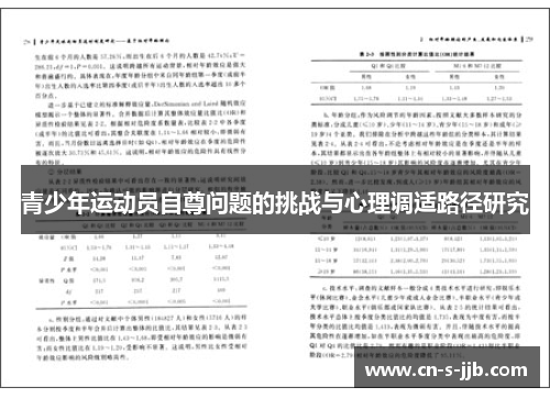 青少年运动员自尊问题的挑战与心理调适路径研究